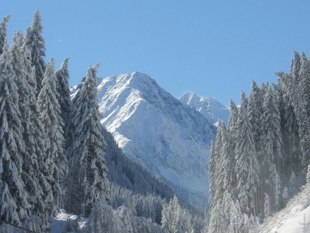 Haus Binder Apartamento Neustift im Stubaital Quarto foto